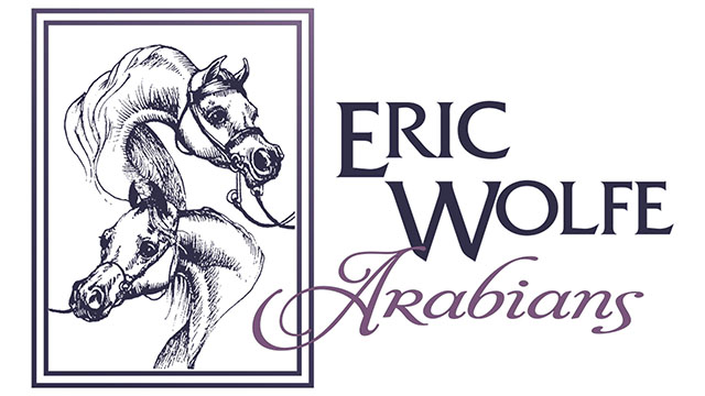 EricWolfeArabians 16x9