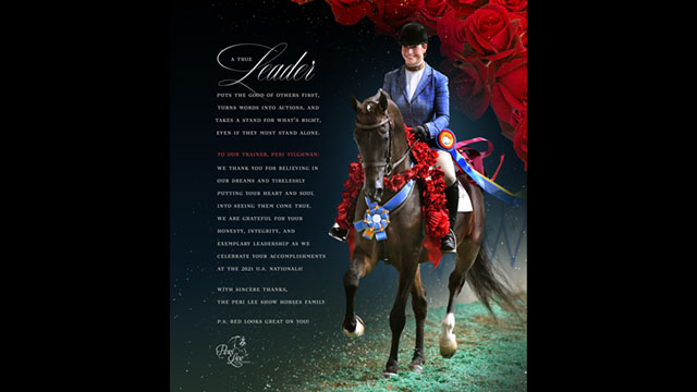 Peri Lee Show Horses Ad2 16x9