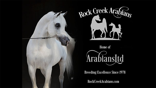 Rock Creek Arabians Ad 16x9