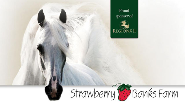 Strawberry Banks Ad 16x9