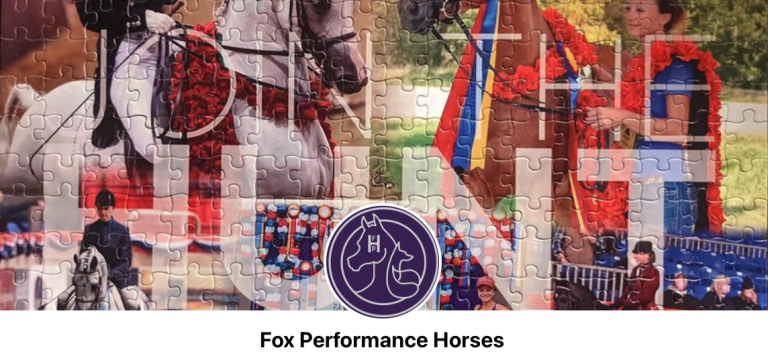 14 fox Performance Horses