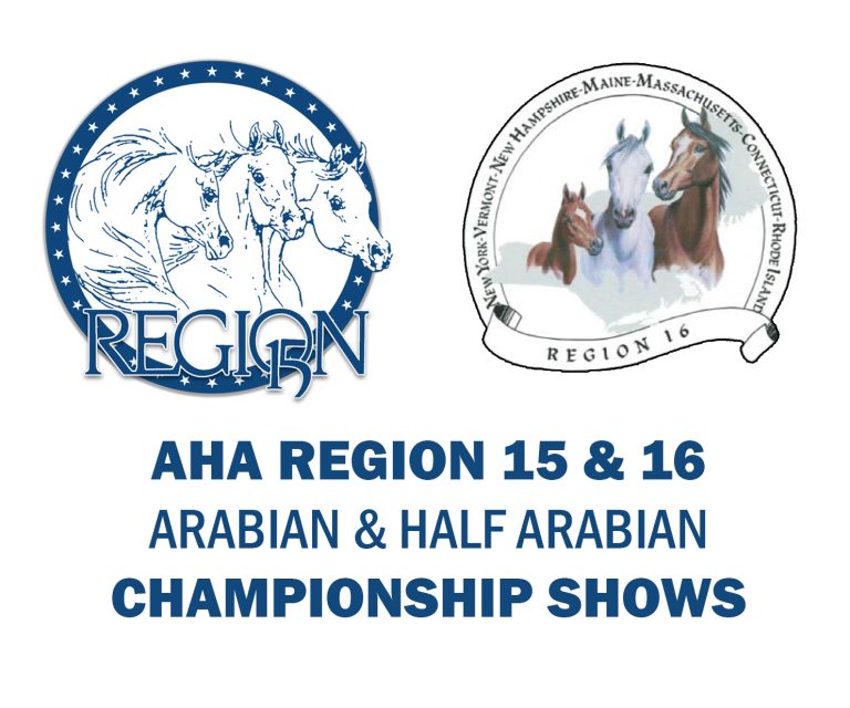 1a Championship group logo