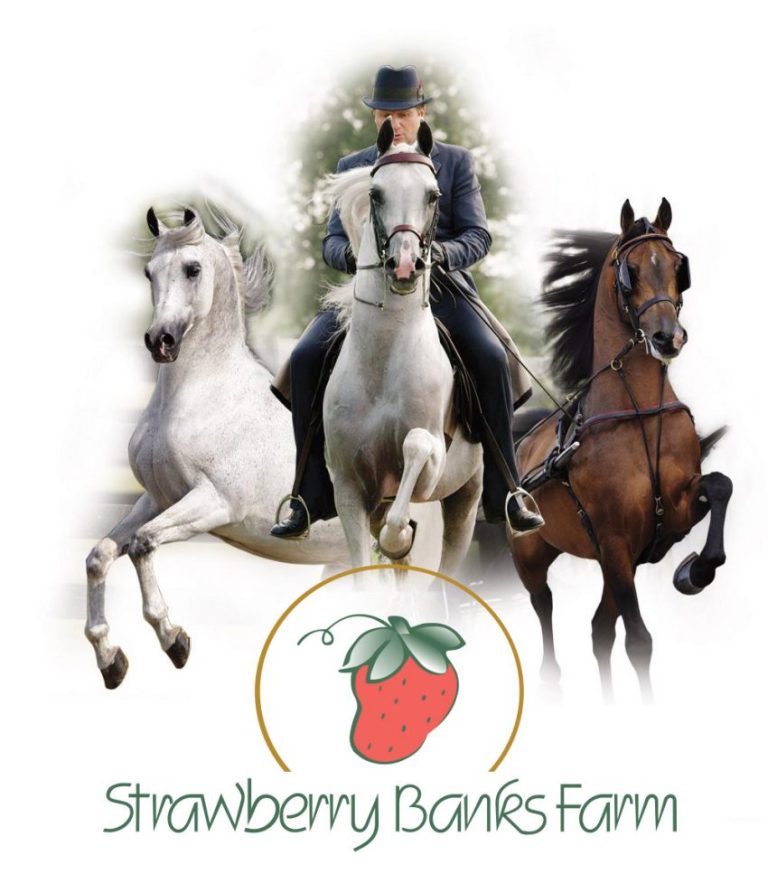 24 strawberry banks farm