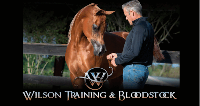 8 wilson training