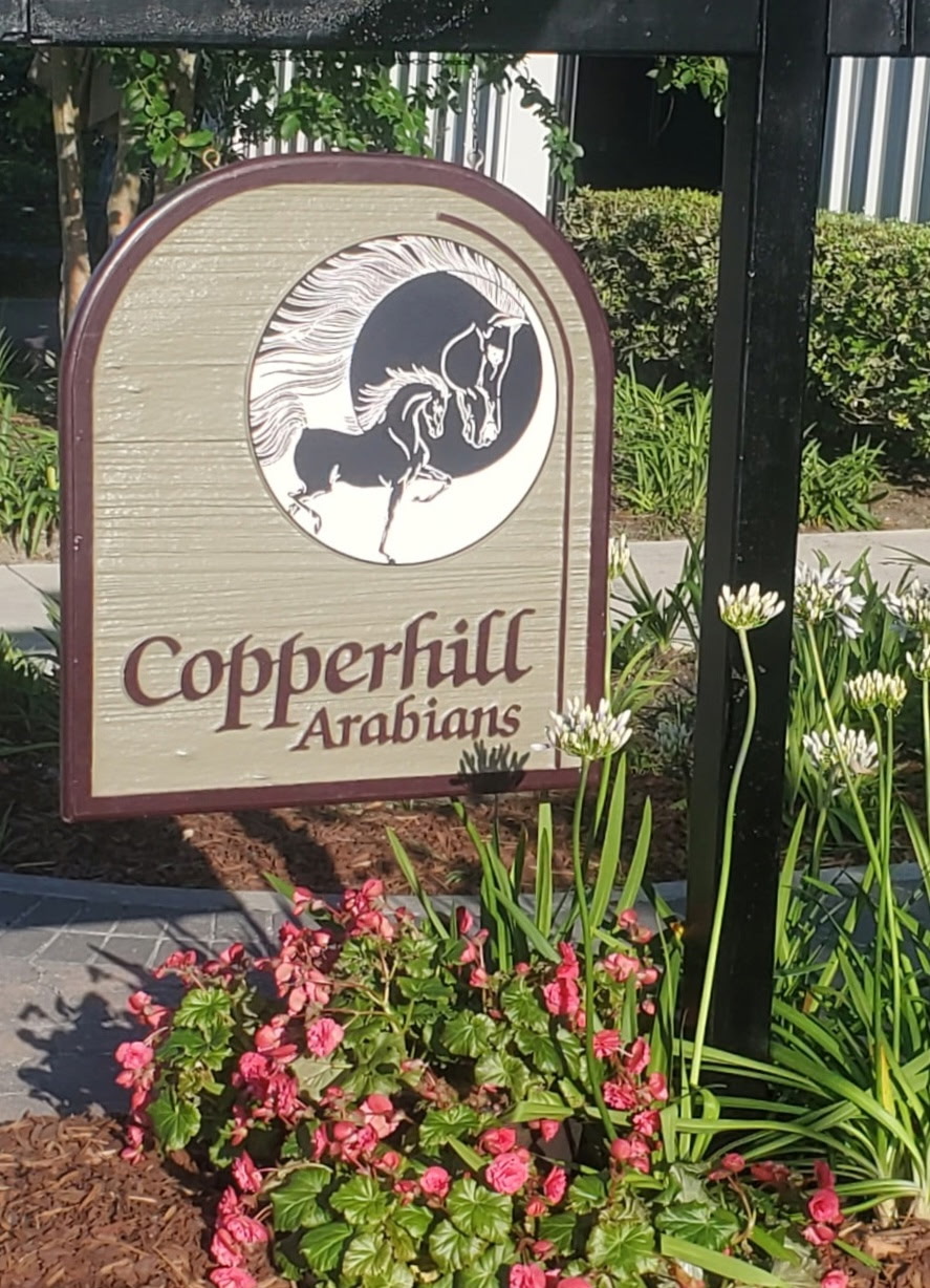 Copperhill Ad