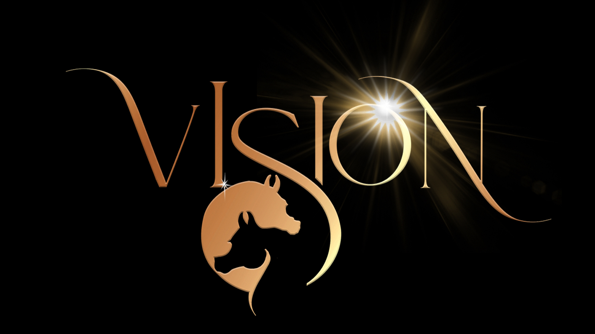 Hagale Vision_LED