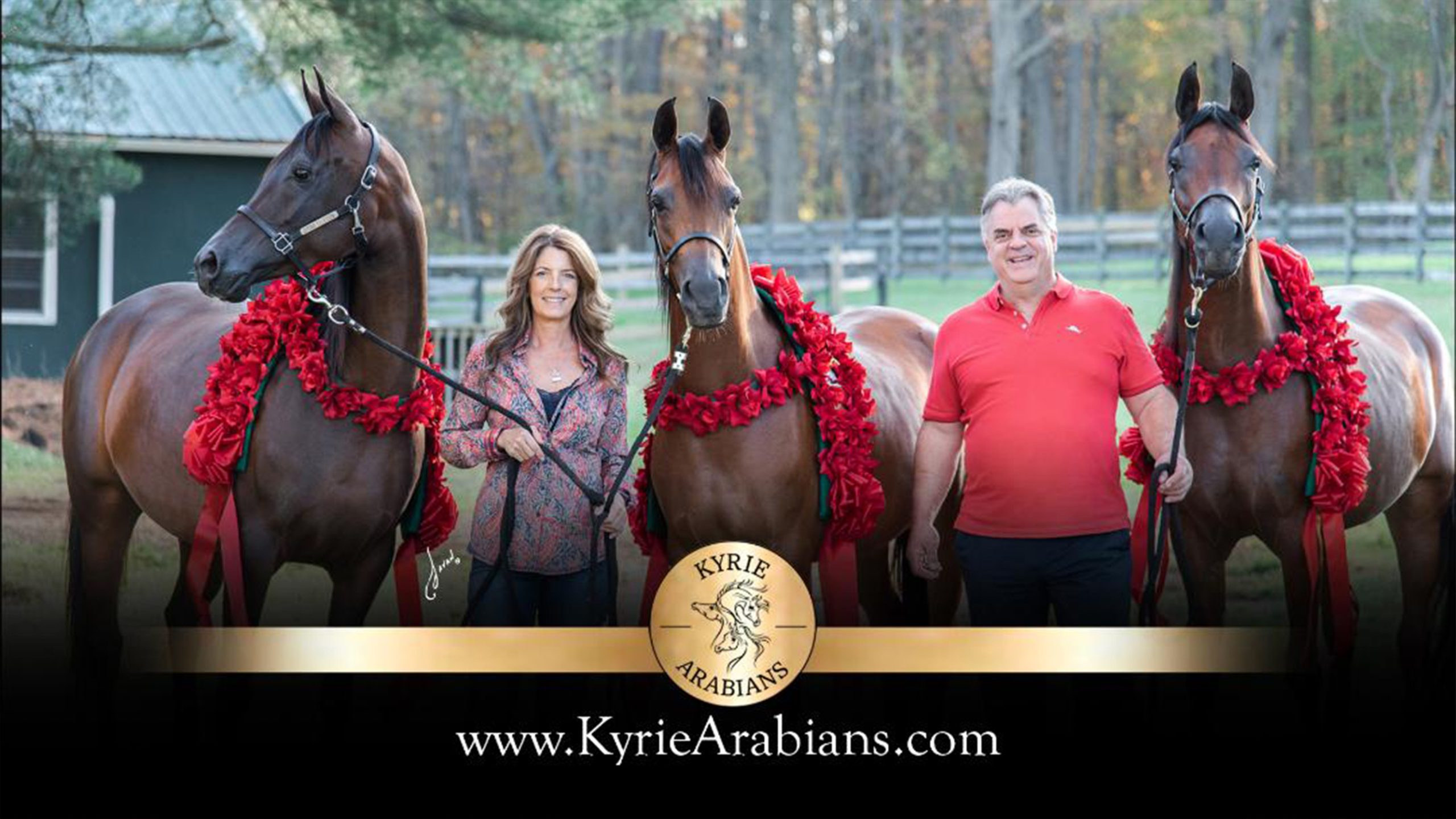 Kyrie-scaled