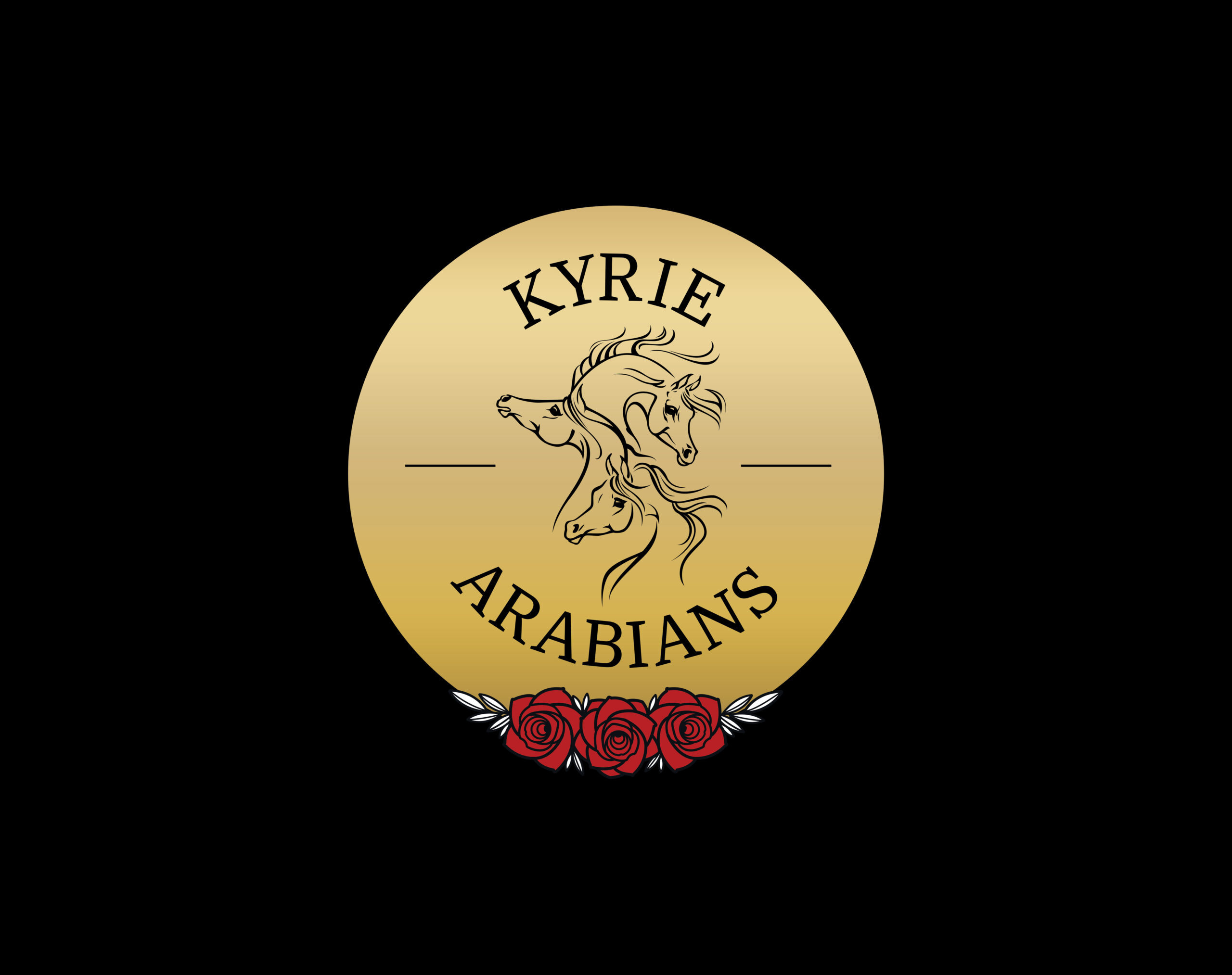 Kyrie_arena