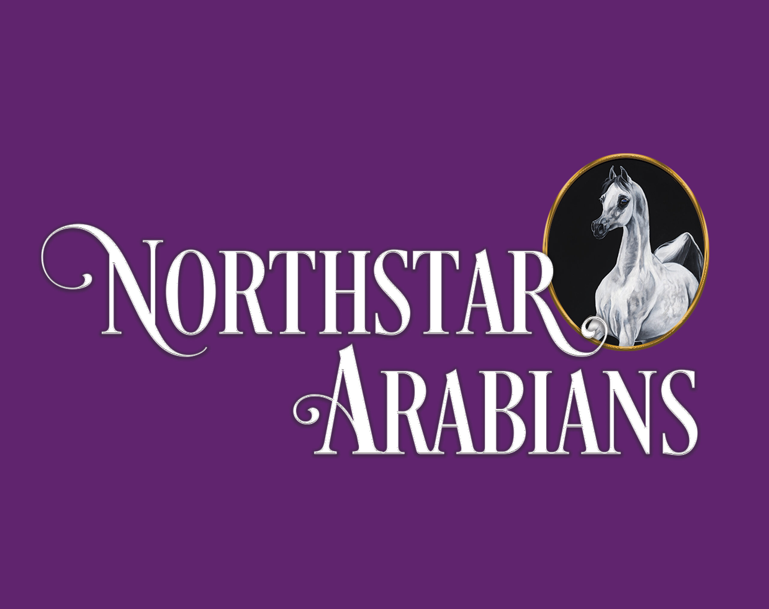 NorthStar Logo_Stacked (1)