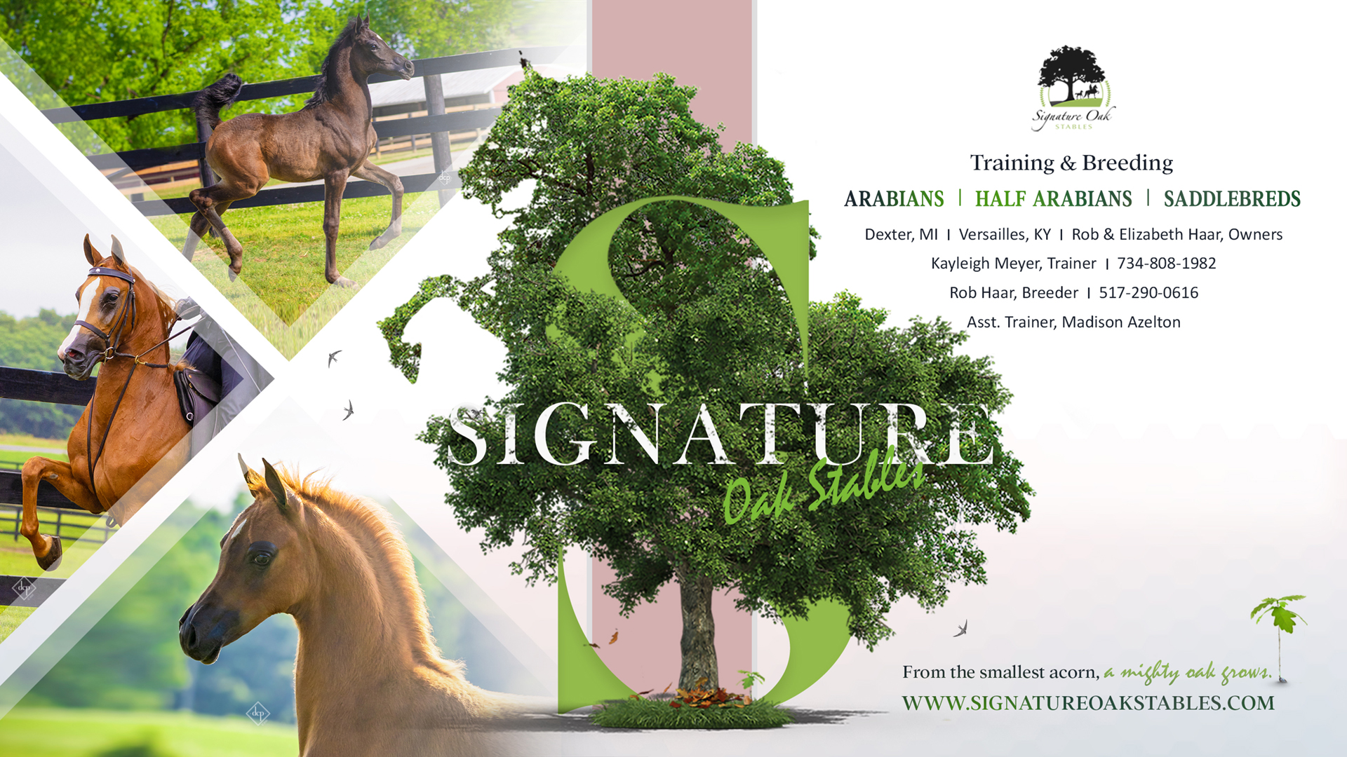 SIGNATURE, R12 Sponsorship Ad 2024