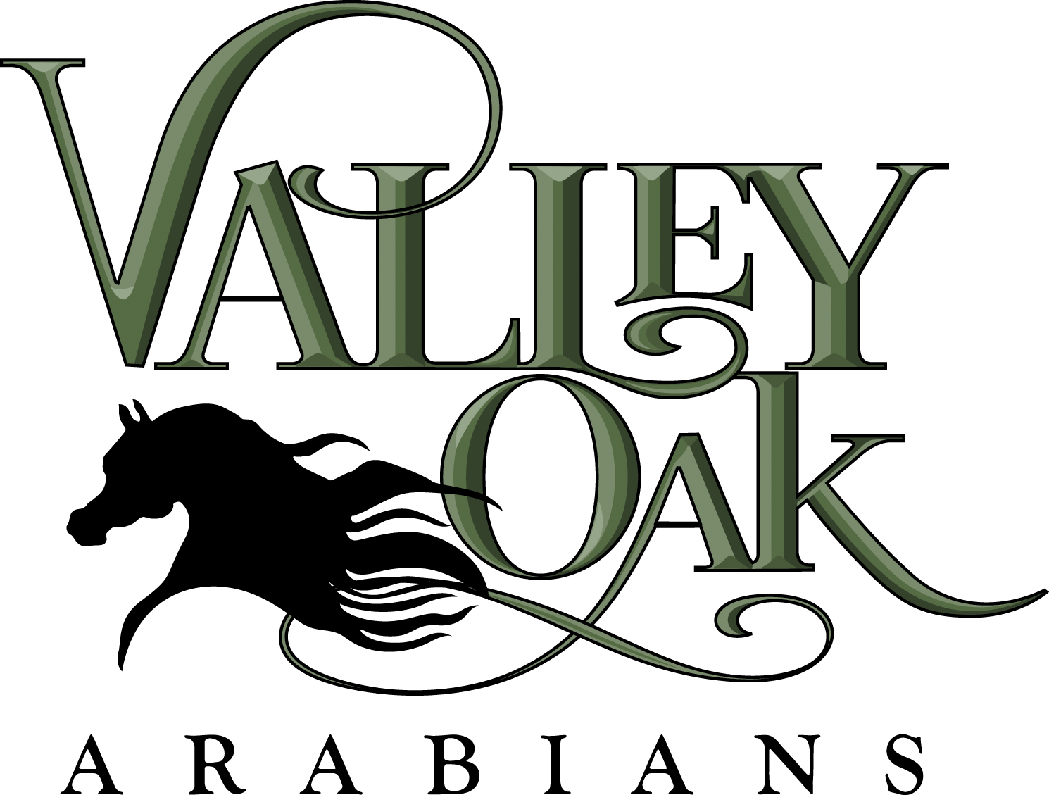 Vally Oaks Logo