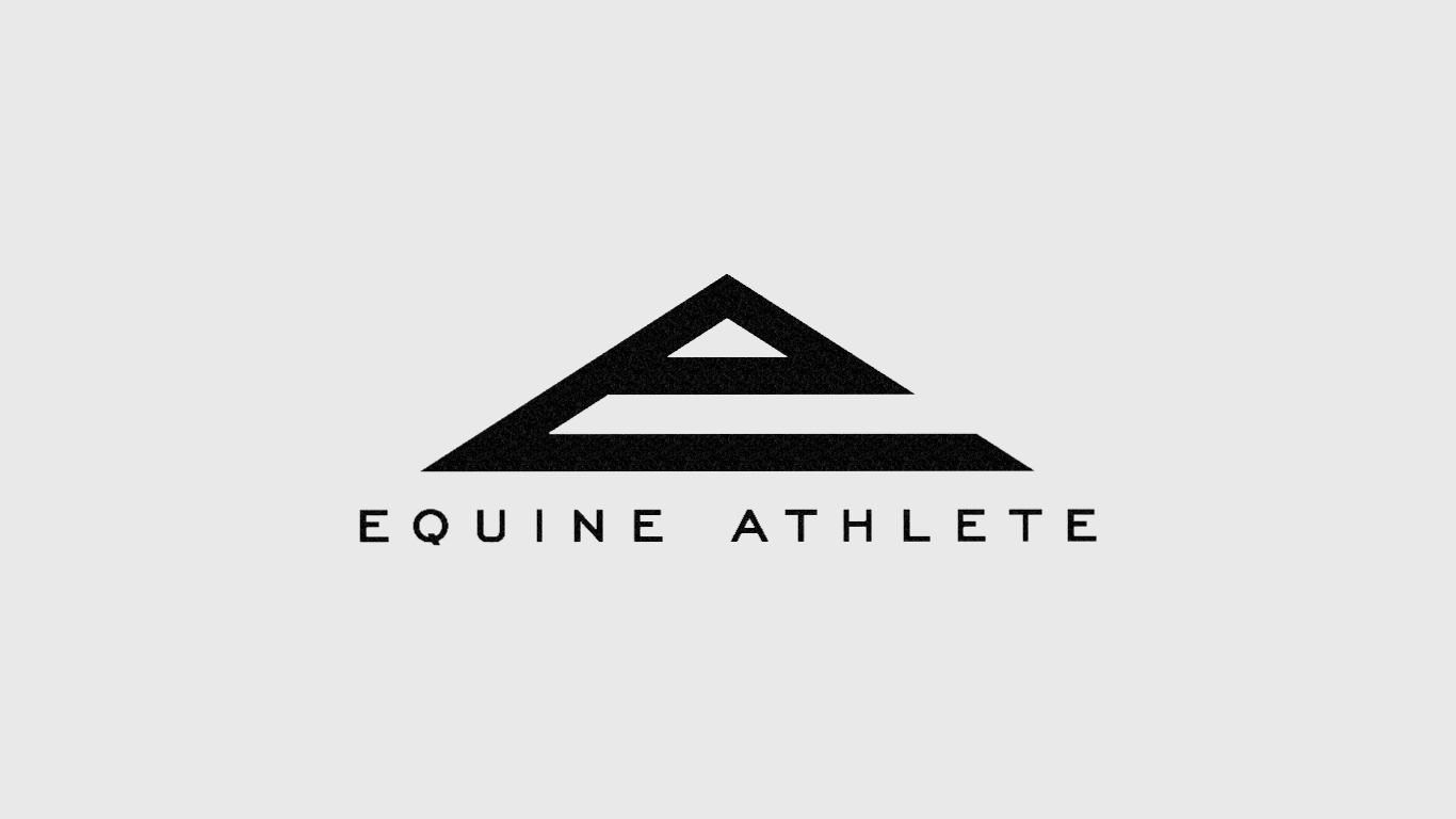equine athlete