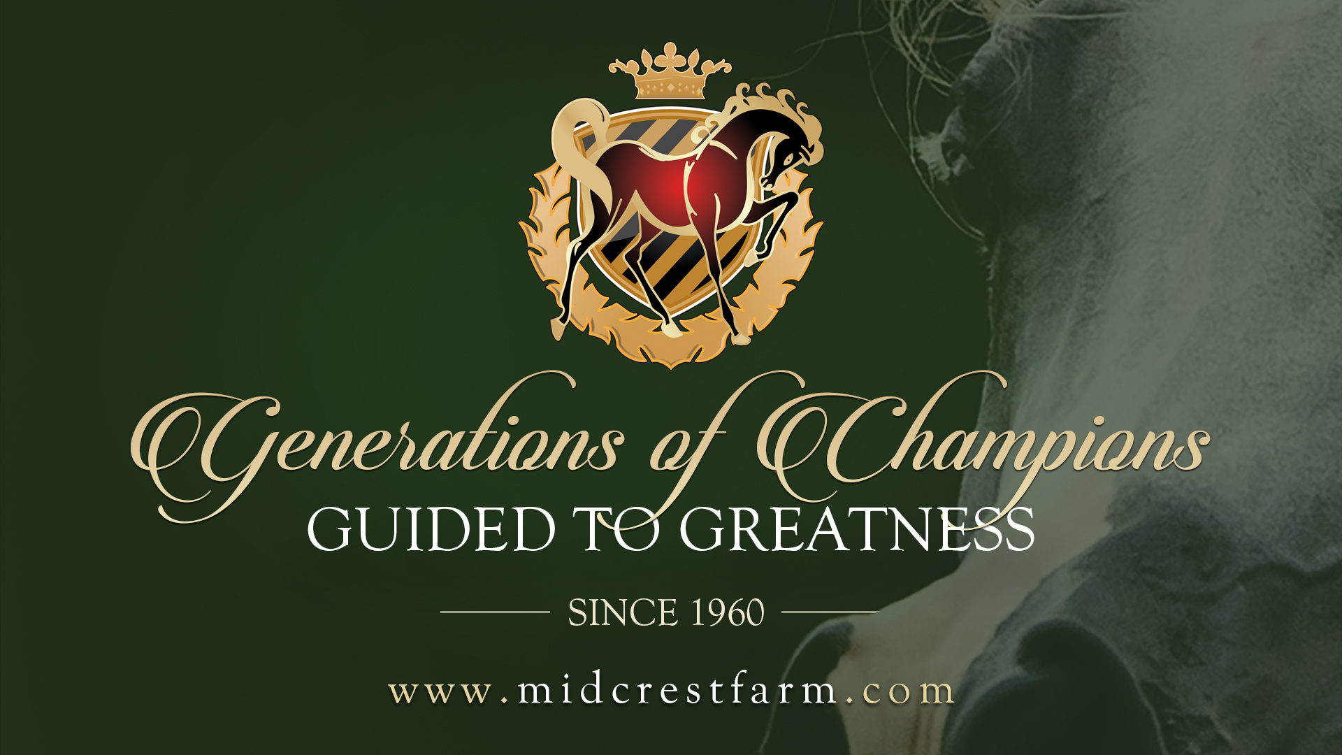 midcrest ad 4