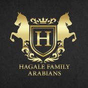 0222_Hagale_LIVE_tile copy